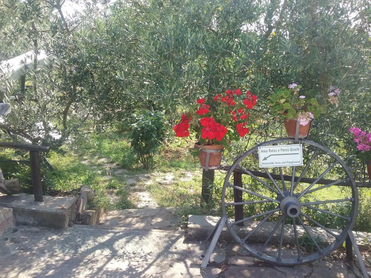 Casa Vacanze L'Oliveta Siena Luaran gambar