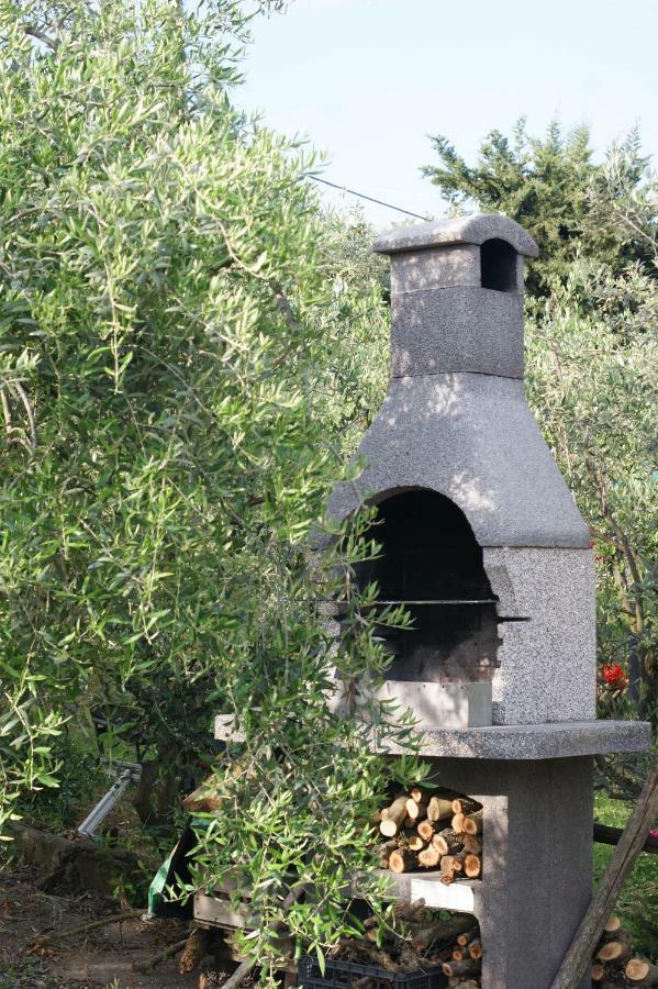 Casa Vacanze L'Oliveta Siena Luaran gambar