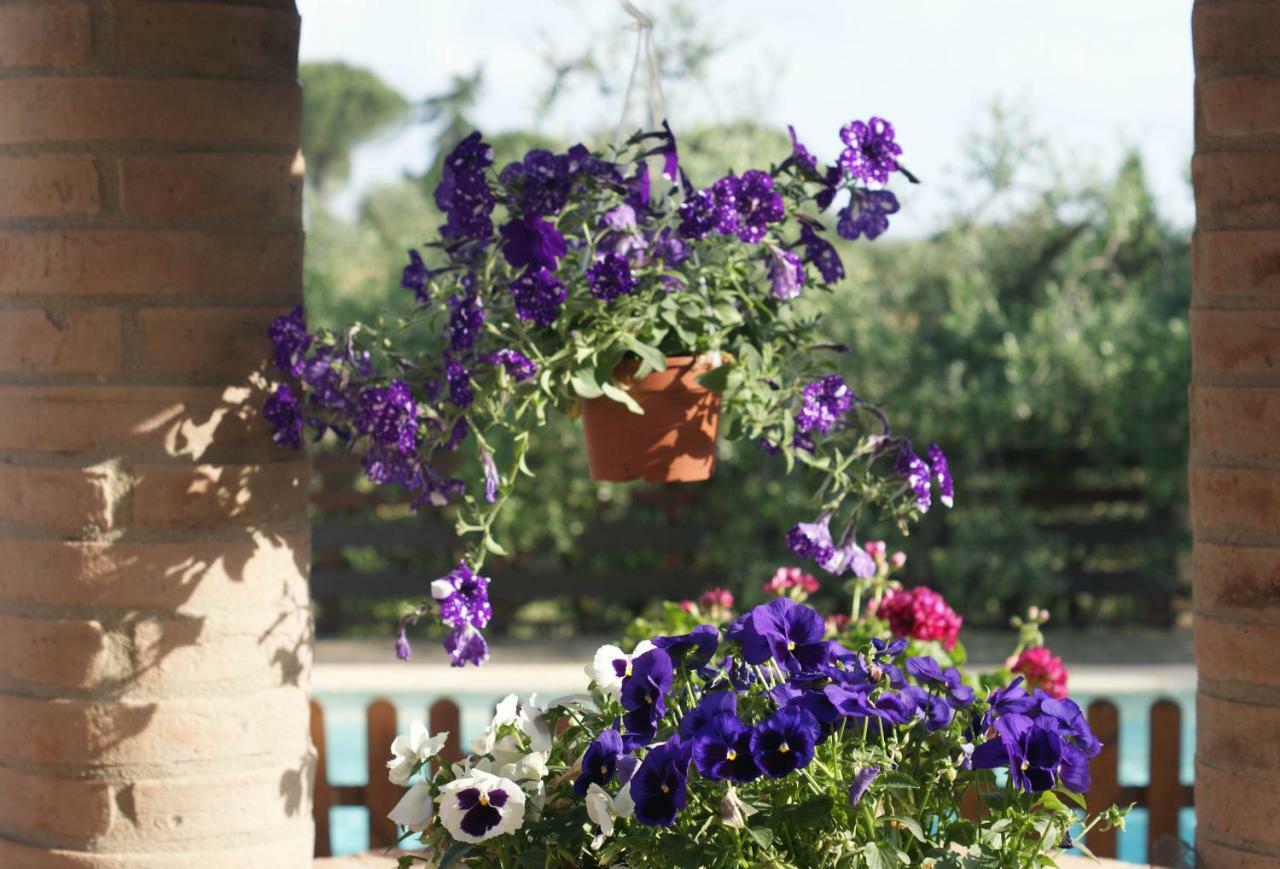 Casa Vacanze L'Oliveta Siena Luaran gambar