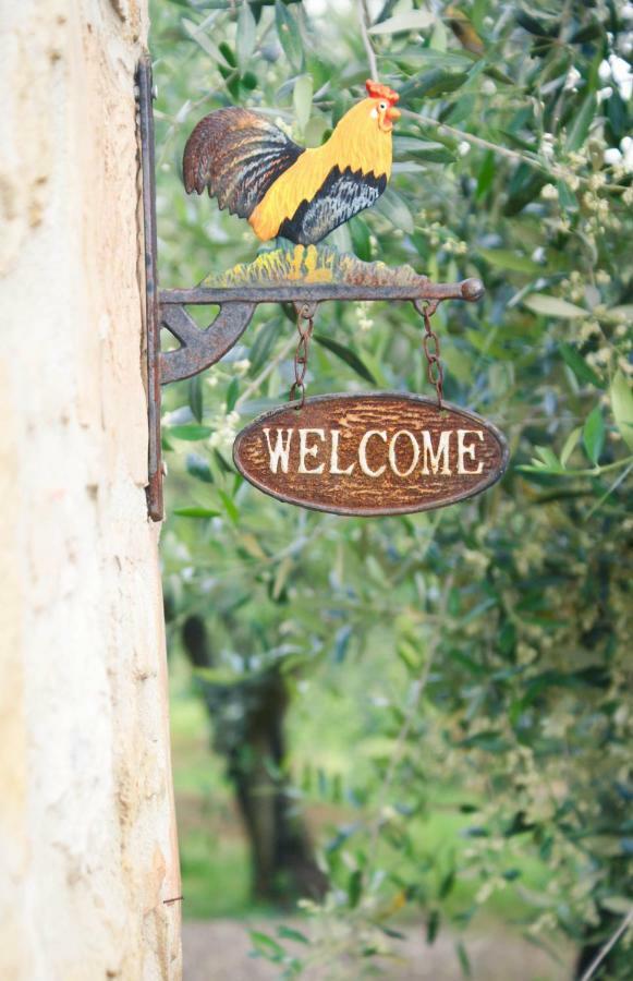 Casa Vacanze L'Oliveta Siena Luaran gambar